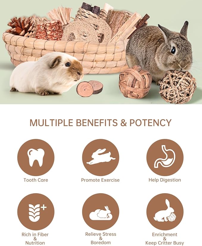 31PCS Rabbit Chew Treat Toys for Teeth Health, Natural Bunny Enrichment Toys for Boredom & Stress Relief, Keep Busy Toys for Guinea Pig Chinchilla Hamster Rat Gerbil Degu Indoor Outdoor-PawvioPets