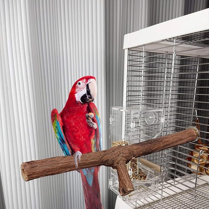 4 Pcs Natural Wooden Bird Perch Parrot Stand, 2 Grape Wood Perches, A Stand Fork Standing Branch, A Paw Grinding Fork, Bird Cage Accessories for Parakeets, Birdcage Sticks & Toys for Budgies, Finches-PawvioPets