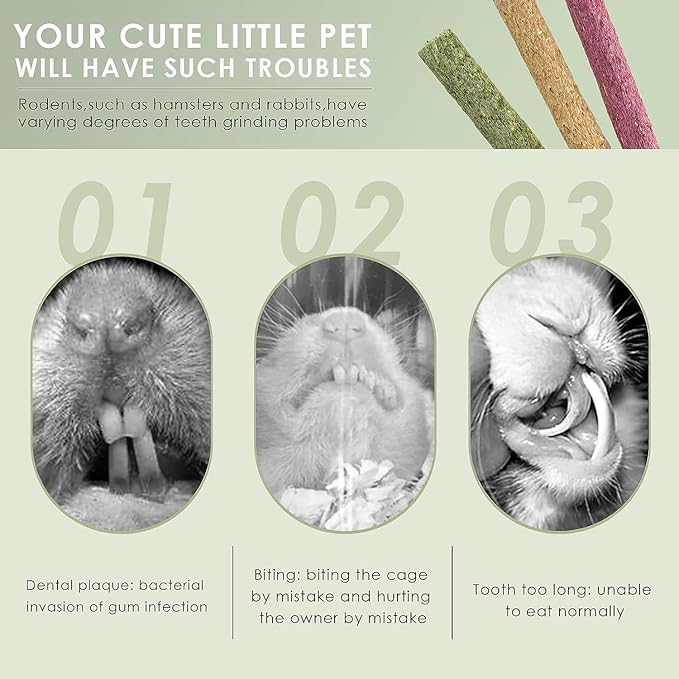 ERKOON Timothy Hay Sticks,Rabbit Chew Toys for Teeth Natural Molar Sticks Rabbits Treats for Bunnies, Chinchilla Guinea Pigs, Gerbil, Hamster (50 Pcs)-PawvioPets