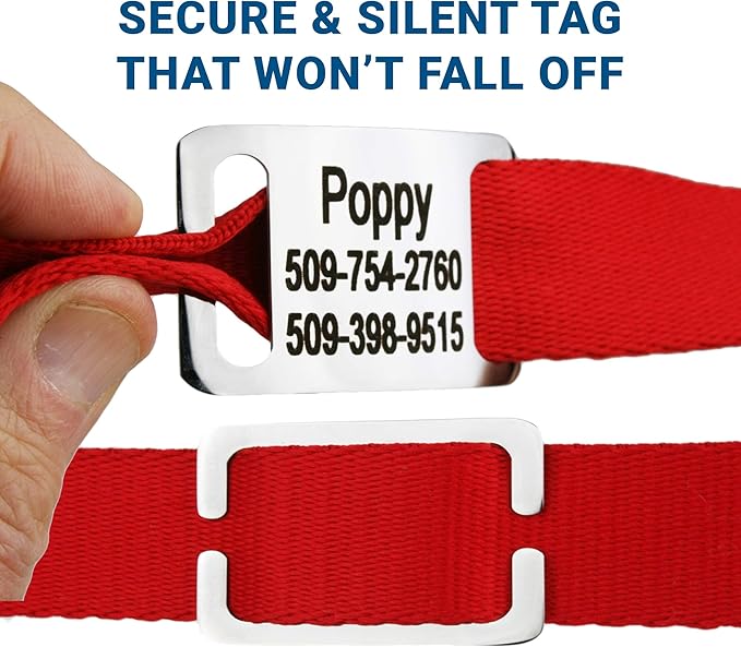 GoTags Personalized Dog Collar with Nameplate, Adjustable Dog Collar with Custom Engraved Slide On Pet ID Tag in Stainless Steel, Silent, No Noise Dog Tag for Large Medium and Small (Red, X-Small)-PawvioPets