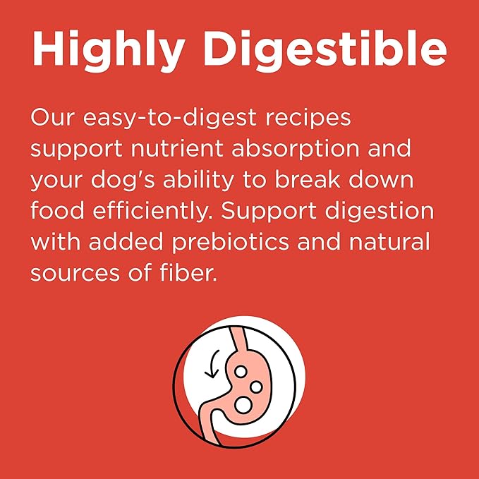 BIXBI Rawbble Dry Dog Food, Beef, 24 lbs - USA Made with No Meat Meals or Fillers - Freeze Dried Raw Coated Dog Food - Industry Leading Digestibility-PawvioPets