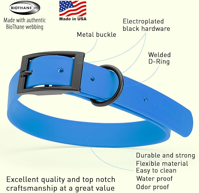 Dogline Biothane Waterproof Dog Collar Strong Coated Nylon Webbing with Black Hardware Odor- Proof for Easy Care Easy to Clean High Performance Fits Small Medium or Large Dogs, Cerulean Blue-PawvioPets