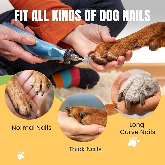 CAELUM Diamond-Coated Pet Nail Grinder Bit, 1/8” Shank for Dremel Nail Tools, Durable & Low-Noise Nail Trimmer for Dogs, Top & Side Grinding, Gentle, Precise Nail Grooming（80grit）-PawvioPets