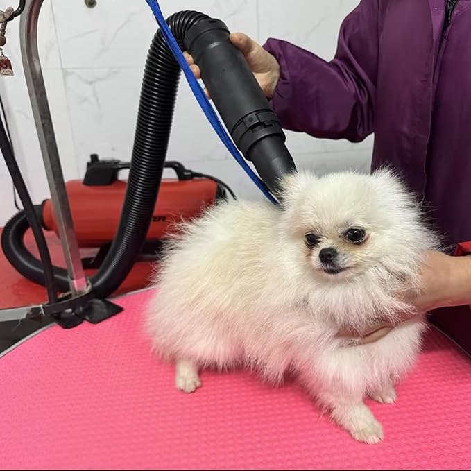 Dog Pet Dryer, 3000W High Velocity Pet Dryer Adjustable Speed Dog Grooming Blower Double Motor, Pet Grooming Hair Drying(4HP), Hot Air Dog Hair Dryer Blower with 2 Nozzle-PawvioPets