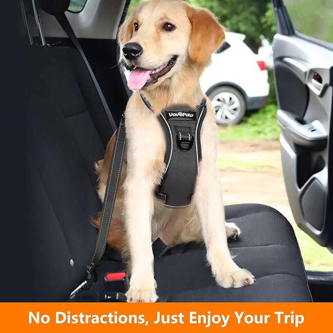 Dog Seat Belt Harness for Car, Dog Car Harness Adjustable Mesh Breathable & Dogs Seatbelt Safety Tether with Elastic Bungee for Small Medium Large Pets(Carbon Black, M)-PawvioPets