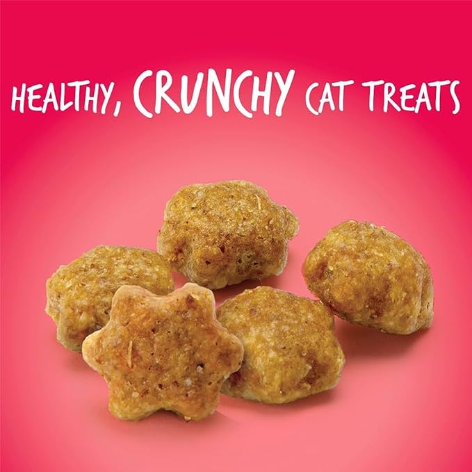 Fruitables Cat Crunchy Treats For Cats – Healthy Low Calorie Packed with Protein – No Wheat, Corn or Soy – Made with Real Salmon with Cranberry – 2.5 Ounces-PawvioPets