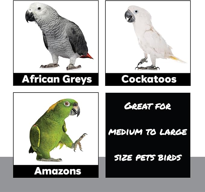 1410 Stainless Pot Delight from Parrots Cockatiels Conures Budgies Macaws Lovebirds African Greys Parrot Toys Stainless Foraging Chew Treat Noise-Making Fun Sensory Enrichment.-PawvioPets