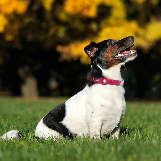 AirTag Dog Collar for Small Medium Large Breed - Adjustable Cute Pattern Dog Collar with Airtag Holder - Soft Leather Tracker GPS Apple Air Tag Pet Collars (Large, 17"-21" Neck Fit, Striped)-PawvioPets