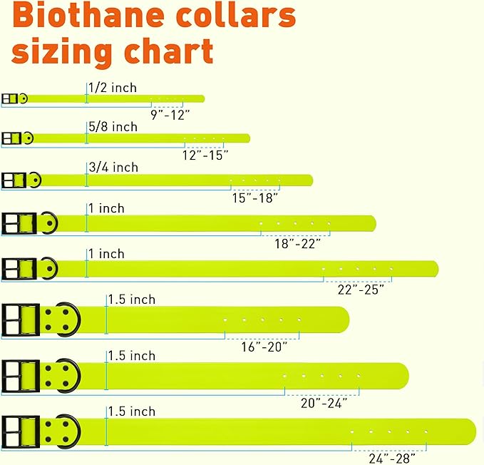 Dogline Biothane Waterproof Dog Collar Strong Coated Nylon Webbing with Black Hardware Odor- Proof for Easy Care Easy to Clean High Performance Fits Small Medium or Large Dogs, Safety Yellow-PawvioPets