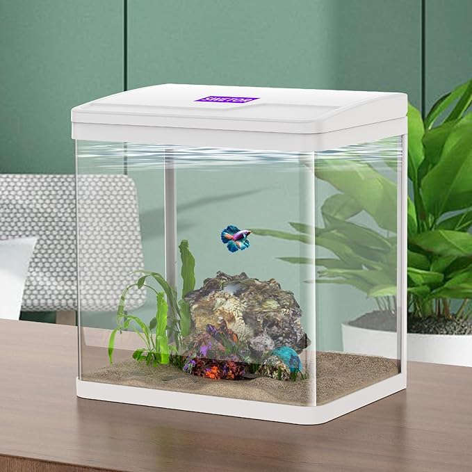 2 Gallon Betta Fish Tank Starter Kit, Self-Cleaning Aquarium with Built-in Filter and LED Light-PawvioPets