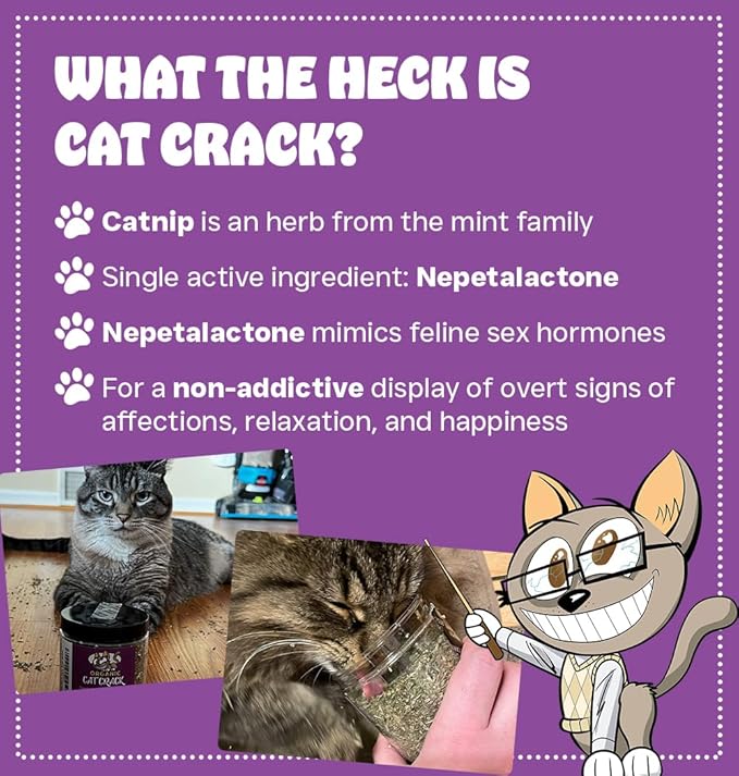 Cat Crack Catnip, Zoomie-Inducing Cat Nip Blend, North American Made & 100% Natural, Safe & Non-Addictive Catnip Treats Used to Supplement Cat Nip Toys, Spray, & Accessories (20 Cups)-PawvioPets