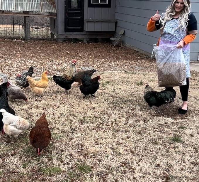 10lbs Dried Mealworms - Premium Non-GMO Chicken Feed, Nutritious High Protein Meal Worms- Food and Treats for Laying Hens, Wild Birds, Ducks, Chicken-PawvioPets