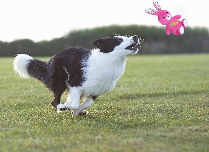 DODODOLA Dog Toys Stuffed Dog Toy with Crinkle Paper Cute Rabbit Plush Bunny Squeaky Dog Easter Toys Dog Chew Toys for Medium Large Breed-PawvioPets