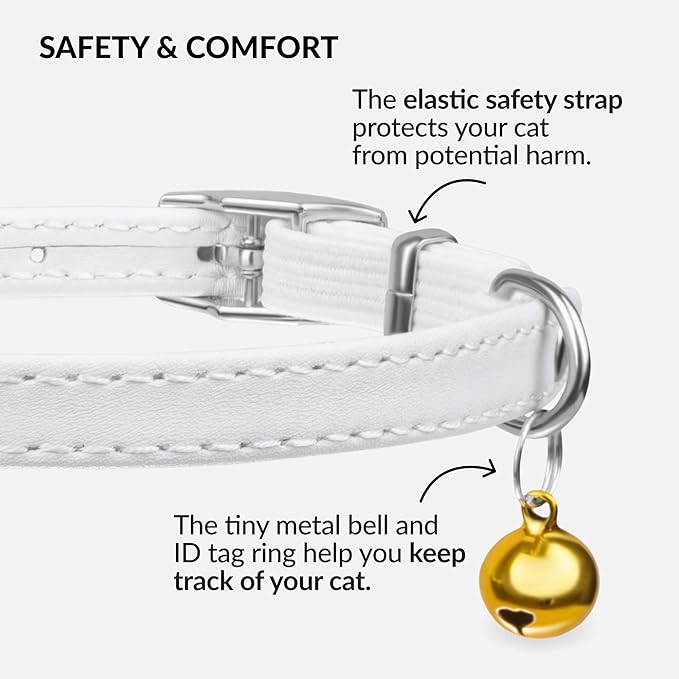 CollarDirect Leather Cat Collar with Bell - Kitten Collar, Small and Big Cat Collar for Boy Cats, Girl Cats with Safety Elastic Strap (Neck Fit 6"-7", White)-PawvioPets