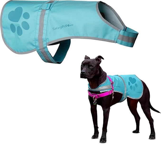 Dog Reflective Vest – Hi-Vis Fluorescent Visibility That Helps to Safeguard Your Pet On/Off Leash in Urban & Rural Areas (Teal, X-Small)-PawvioPets