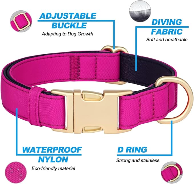 Didog Soft Padded Dog Collars for Medium Dogs, Colorful and Durable Dog Collar with Quick Release Buckle, Light and Breathable for Daily Walking, Rose Purple, M-PawvioPets