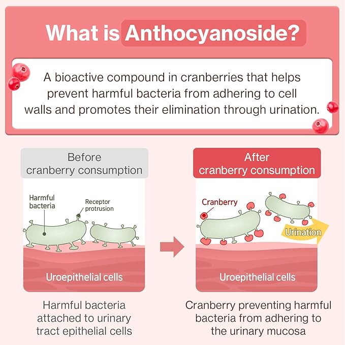 Dr.by UT Care Cat UTI Kidney Support Urinary Supplement Cranberry Treatment for Cats Renal Health with Pacran, Quercetin, Taurine lickable Formula Individually Packaged (1 Pack)-PawvioPets