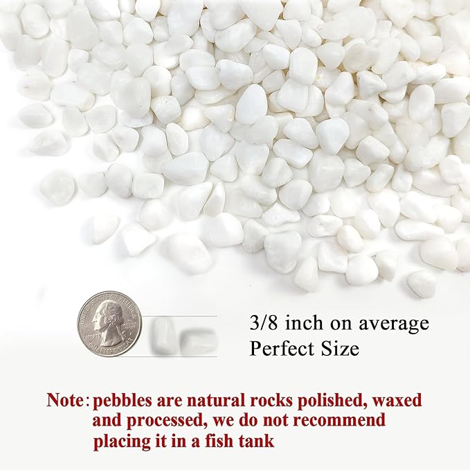 2 Pounds White Pebbles for Indoor Plants, 3/8 Inch Polished White Rocks, Decorative River Rocks for Potted Plants Vase Cactus Bird Bath and Outdoor Garden Landscaping-PawvioPets