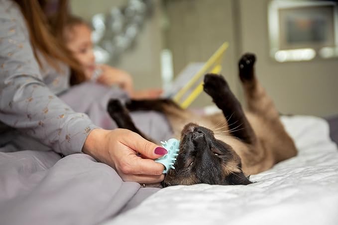 Furr&Purr Cat Brush, Scratcher, and Massager - Indoor Cat Calming Care with Face Scratcher, Finger Brush (3-Pack, Made in USA)-PawvioPets