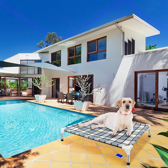 Elevated Outdoor Raised Dog Bed Outdoor Dogs Bed Lifted Pet Bed Dog Cot for Medium Pet Taste Life, Start with A Pet Bed 34'' x 26'' x 6.5''-PawvioPets