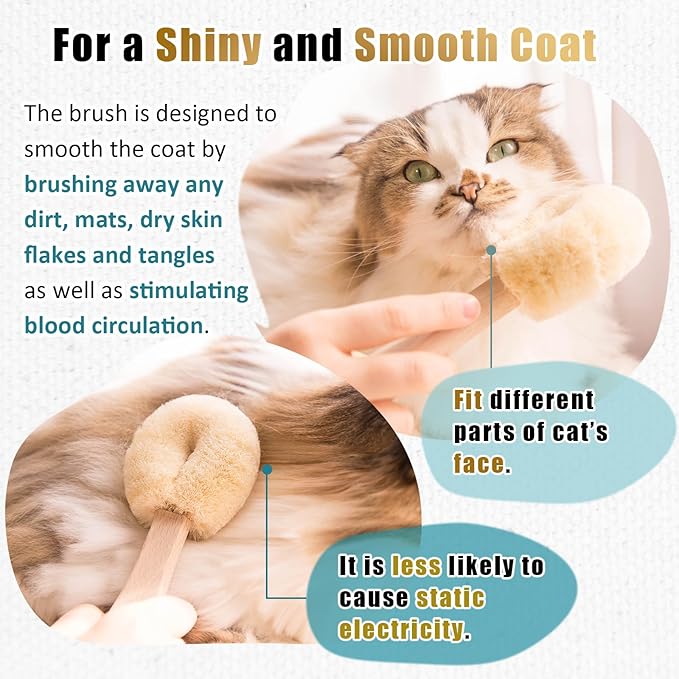 Cat Grooming Massage Tawashi Brush with Wood Handle Less Static Natural Sisal fiber Made in Japan (Type-B)-PawvioPets
