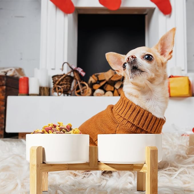 Elevated Ceramic Dog Bowl Set - Raised Dog Bowls with Non-Slip Bamboo Stand - Dog Food and Water Bowl Set - Double Dog Feeding Bowls - Suitable for Small and Medium Dogs - 28.74 OZ - 3.6 CUPS - 850 ML-PawvioPets