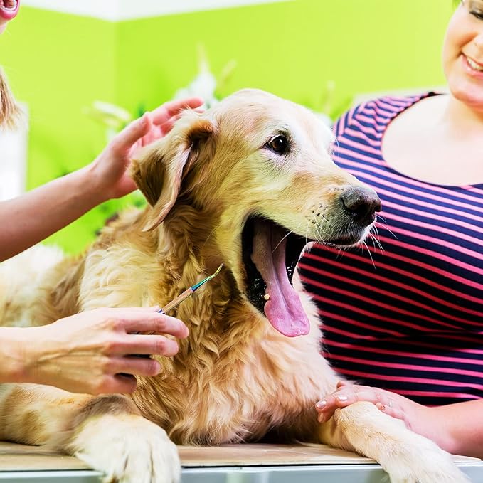 3 Pieces Dog Dental Tooth Scaler and Scraper Stainless Double Headed Tarter Removing Tool Scraper Pet Teeth Cleaning Tools for Dog and Cat (Rainbow Color)-PawvioPets