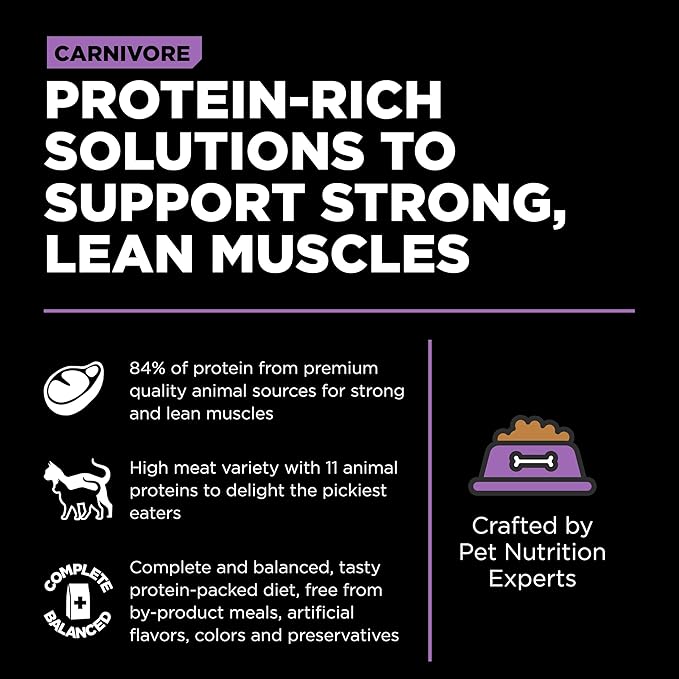 Go! Solutions Carnivore, Grain-Free, Protein Rich Dry Cat Food, Chicken, Turkey and Duck Recipe, 3 lb Bag-PawvioPets