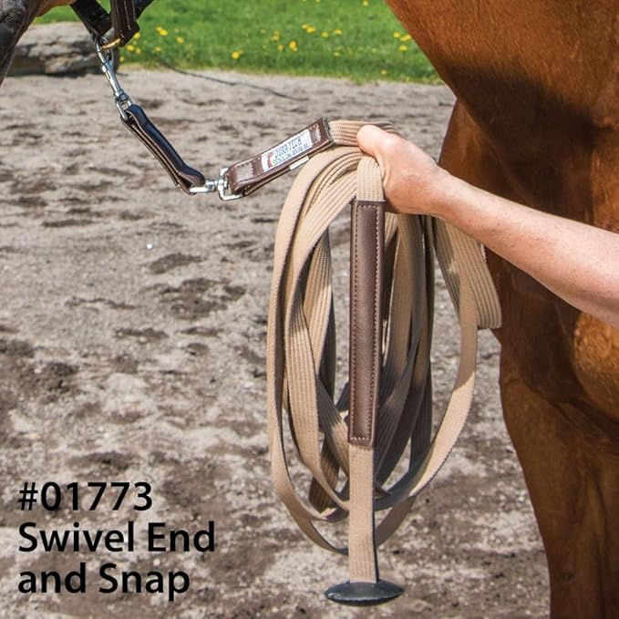 Dura-Tech German Web Cord Lunge Line for Horses | Soft Grip Ribbed Webbing | Lightweight & Durable | Nickel-Plated Snap or Chain Options | Lunch Line with Swivel End and Snap-PawvioPets