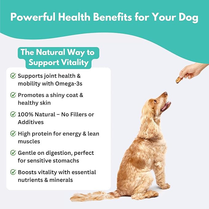 ALFIE'S TREATOS Green Lipped Mussels for Dogs & Cats (2.65 oz), Air-Dried Dog Treats, Natural Supplement & Omega-3 Food Topper, Single Ingredient, Freeze-Dried Alternative-PawvioPets