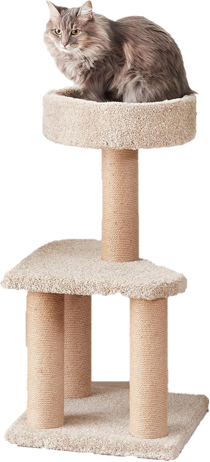 Amazon Basics Cat Tree - Indoor Cat & Kittens Multi-Level Climbing Activity Tower with Scratching Posts, Medium (31.5"H) - Beige-PawvioPets