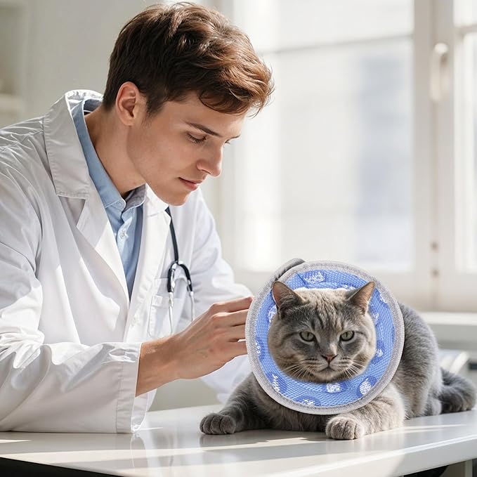 Cat Cone Collar After Surgery Soft to Stop Licking Lightweight Kitten Recovery Collar Comfortable Water Resistant Dogs Collars Adjustable Foldable Elizabethan Collars for Small Large Cats-PawvioPets