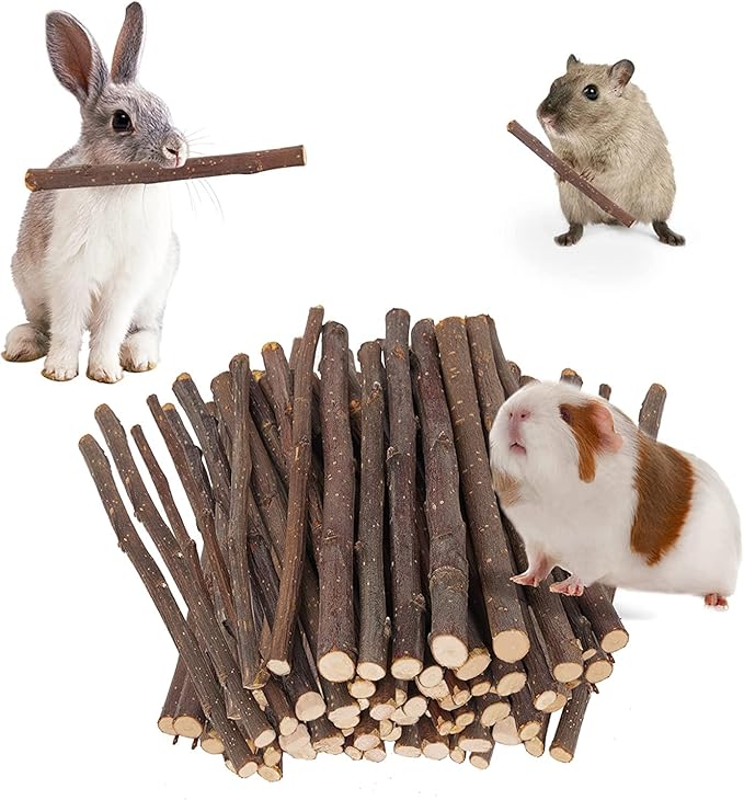 600g Apple Sticks Molar Wood Treats, Rabbit Toys Chinchilla Guinea Pig Bunny Toys Wood Chews Sticks for Teeth Rabbit Food Guinea Pig Hamster Gerbil Chews Small Animals Snacks(150 Pcs)-PawvioPets