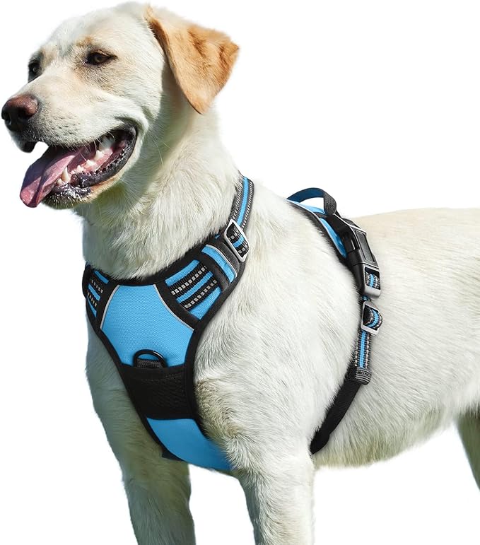 Eagloo Dog Harness for Large Dogs, No Pull Service Vest with Reflective Strips and Control Handle, Adjustable and Comfortable for Easy Walking, No Choke Pet Harness with 2 Metal Rings, Sky Blue, L-PawvioPets