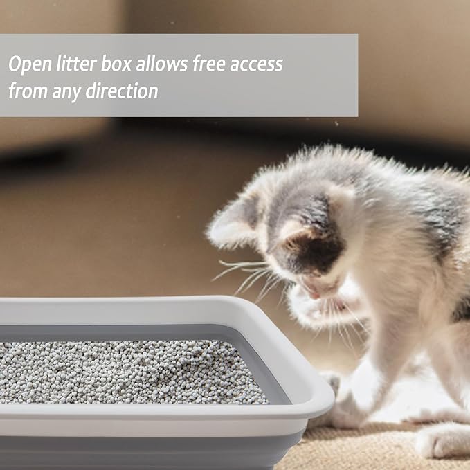 Collapsible Small Cat Litter Box, 14.6 x 10.6 x 4.8 inch Open Waterproof Low Entry Kitten Potty Pan Semi-Enclosed Pet Toilet for Sick Frail Kitty Grey-PawvioPets