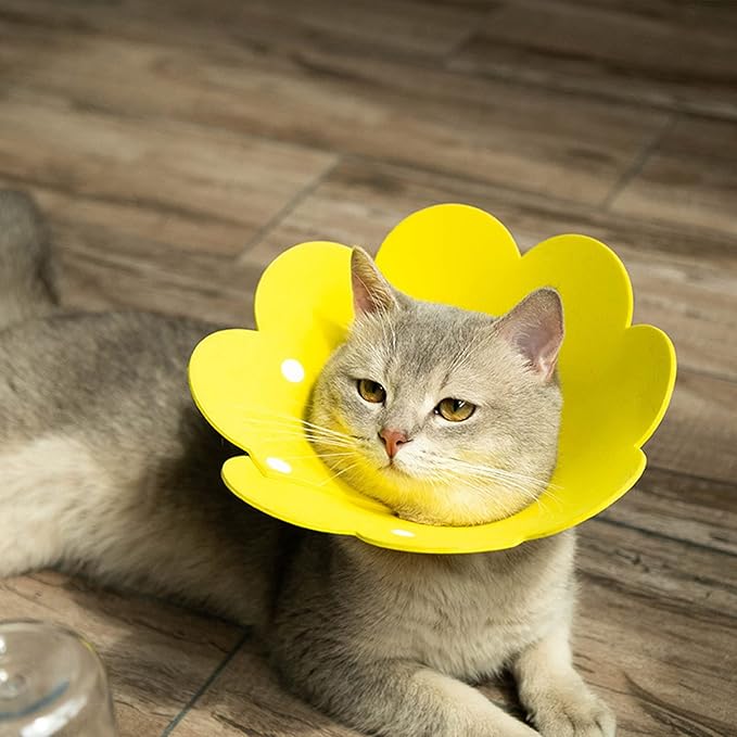 3-Pack Cat Recovery Collar - Sunflower Neck Cone, Anti-Licking, Prevents Biting & Scratching (Pink, Orange, Yellow) (M)-PawvioPets