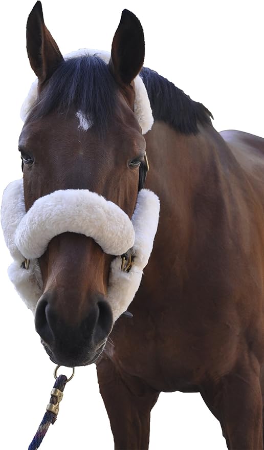 ECP Equine Comfort Products Merino Sheepskin Halter Fleece Set for Horses, 100% Natural Wool, Chafe Protection, Breathable Relief & Cushioned Comfort, Machine Washable, 9-Piece Set, White-PawvioPets