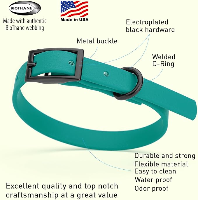 Dogline Biothane Waterproof Dog Collar Strong Coated Nylon Webbing with Black Hardware Odor- Proof for Easy Care Easy to Clean High Performance Fits Small Medium or Large Dogs, Blue Aqua-PawvioPets