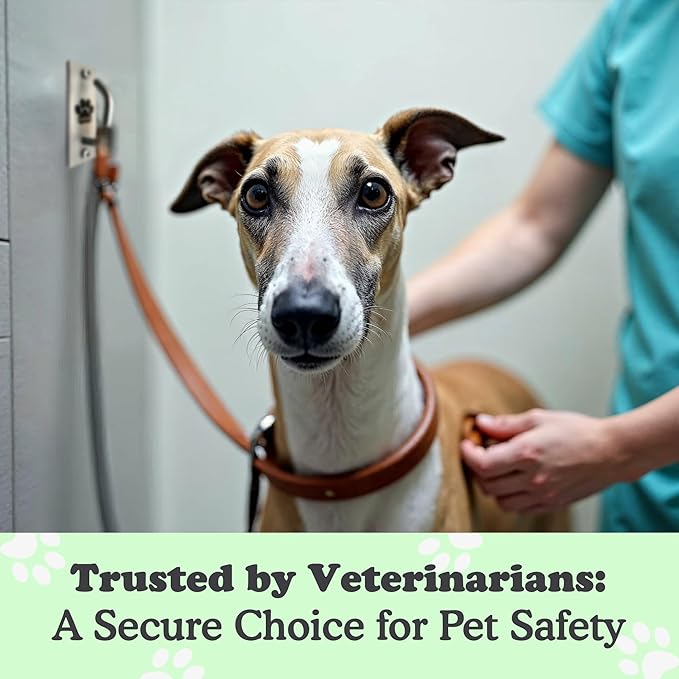 Canine Hitch- Secure Dog Leash Parking Mounted Indoor – Outdoor Wall Hook - Tie Out Stainless Steel Practical Lead Management for Home & Business, Standard Size 6 Pack-PawvioPets