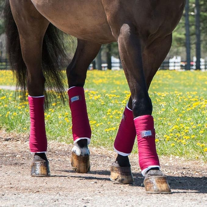 Dura-Tech Standing Wraps for Horses | Color Royal | Optimal Comfort & Support | Ideal for Post-Exercise & Trailering | Right Tension Application | Secure Closure-PawvioPets