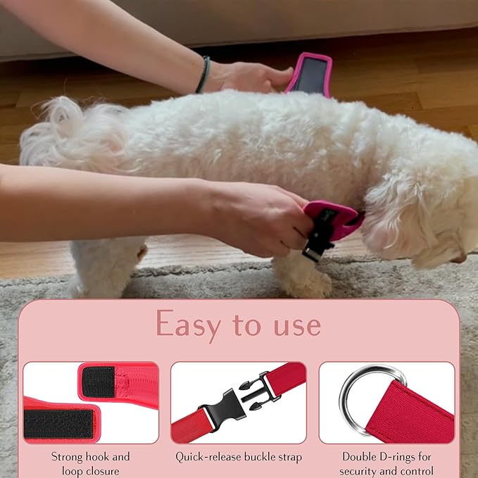 Comfort fit Step-in Dog & Puppy Harness - Comfortable All Weather Dog Vest Harness: Adjustable, Soft Padded, Easy to Put-on for Small, Medium-Sized Dogs.-PawvioPets