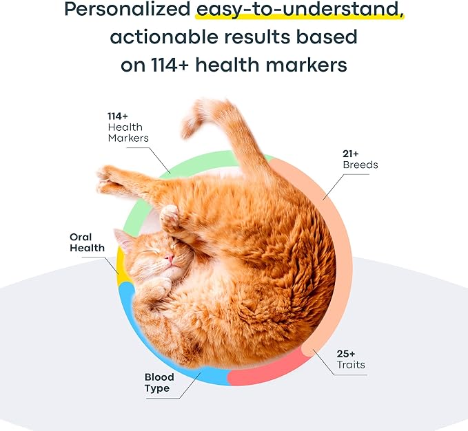 Basepaws Cat DNA Test Kit - Comprehensive Breed, Health and Dental Analysis Across 114 Traits for Accurate and Easy-to-Use Genetic Insights-PawvioPets