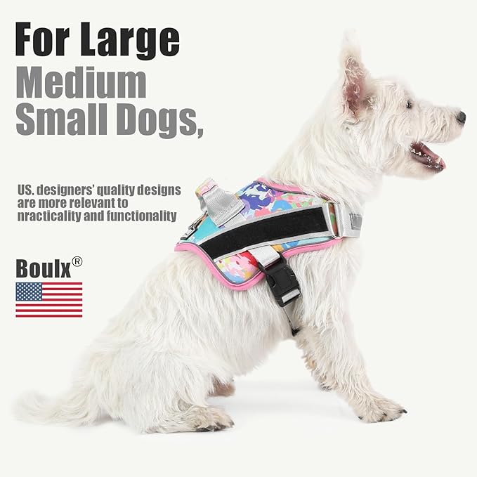 Bolux Dog Harness, No-Pull Reflective Dog Vest, Breathable Adjustable Pet Harness with Handle for Outdoor Walking - No More Pulling, Tugging or Choking (X-Small (Pack of 1), OilPainting)-PawvioPets
