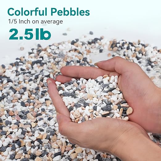 2.5 lbs Small Rocks for Succulents, 1/5 Inch Pebbles for Indoor Plants, Decorative Pea Gravel for Terrarium, Vases, Aquariums, Fish Tank, Drainage Rocks for Potted Plants, Bamboo,Crafts, Cactus-PawvioPets