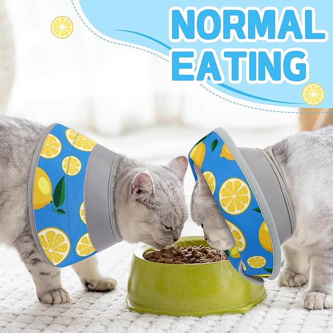 Cat Cone Collar Soft, Comfortable Cat Recovery Collar Pet Cone for Small Large Cats, Lightweight Elizabethan Collar for Cats Kittens After Surgery Prevent from Licking Wounds, Green, S-PawvioPets