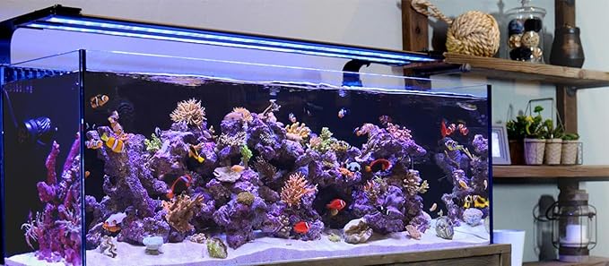 CURRENT USA 72" Inch Orbit Marine IC LOOP LED Saltwater Reef Marine Aquarium Light with Bluetooth App Control | Wireless Lighting & eFlux Wave Pump Control for Fish Tank (4208)-PawvioPets