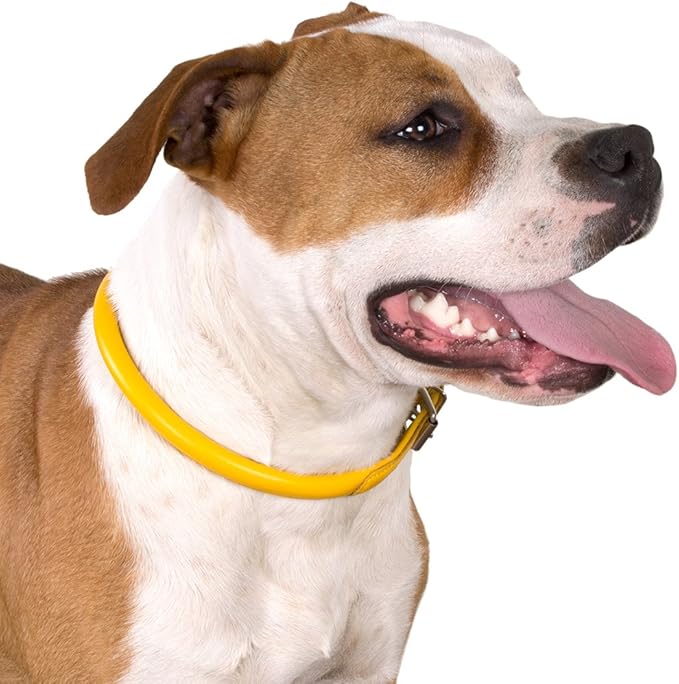 CollarDirect Rolled Leather Dog Collar, Soft Padded Round Puppy Collar, Handmade Genuine Leather Collar Dog Small Large Cat Collars 13 Colors (13-16 Inch, Pink Textured)-PawvioPets