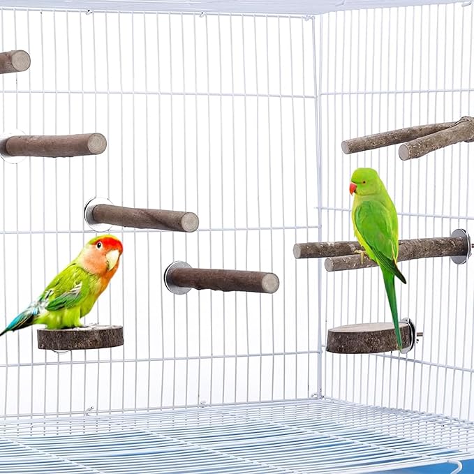 Allazone 10 PCS Natural Parrot Perch Bird Cage Accessories, Bird Platforms, Wood Stands, Grinding Fork Parakeet Platform for Small Lovebirds Budgies Cockatiels-PawvioPets