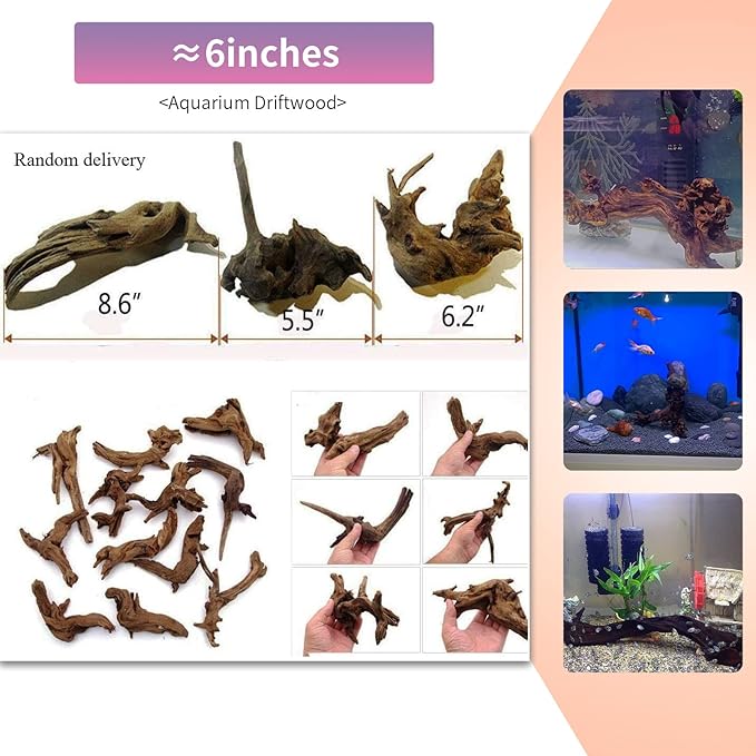 5 Pcs Driftwood Branches Aquarium Wood Decoration Natural Fish Tank Habitat Decor Wood for Lizard Assorted Size-Small-PawvioPets