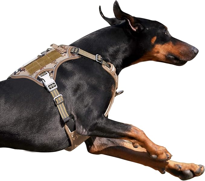 BUMBIN Tactical Dog Harness for Large Dogs No Pull, Famous TIK Tok No Pull Dog Harness, Fit Smart Reflective Pet Walking Harness for Training, Adjustable Dog Vest Harness with Handle Desert Camo L-PawvioPets